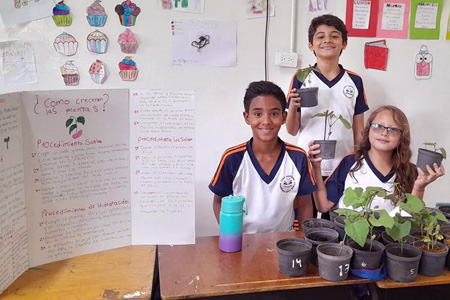 Liceo Campestre Crecer - Sembrando una nueva semilla