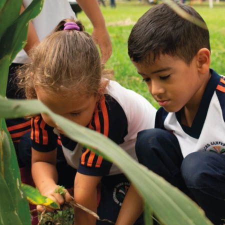 Liceo Campestre Crecer - Sembrando una nueva semilla